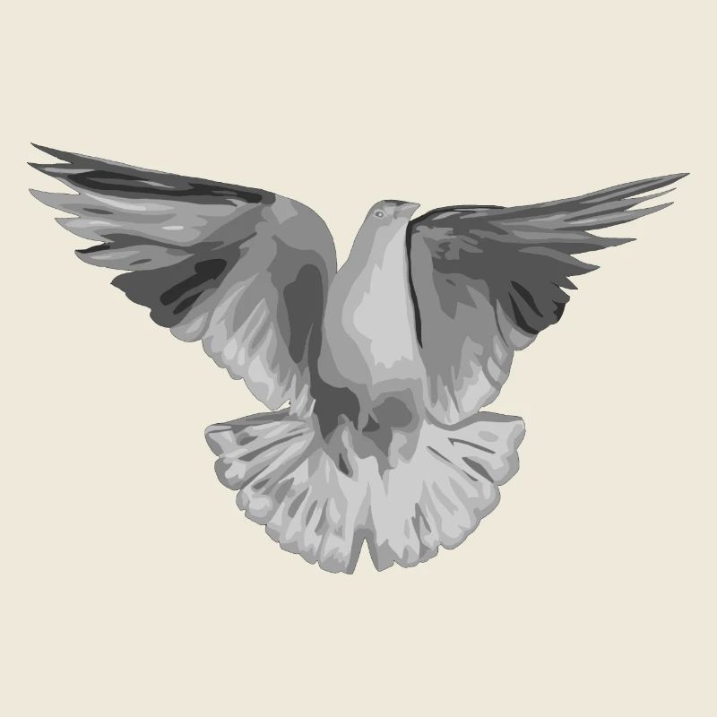 Gris pâle tourterelle
