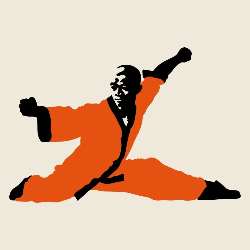 Kung fu Shaolin