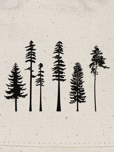 pine tree