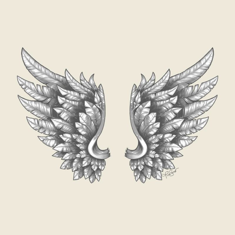 Angelwings ailes ange blanc