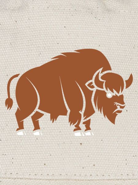 bison