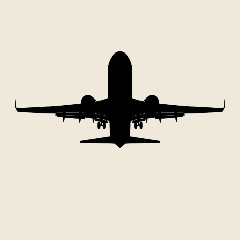 Airplane
