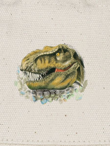 Dinosaur