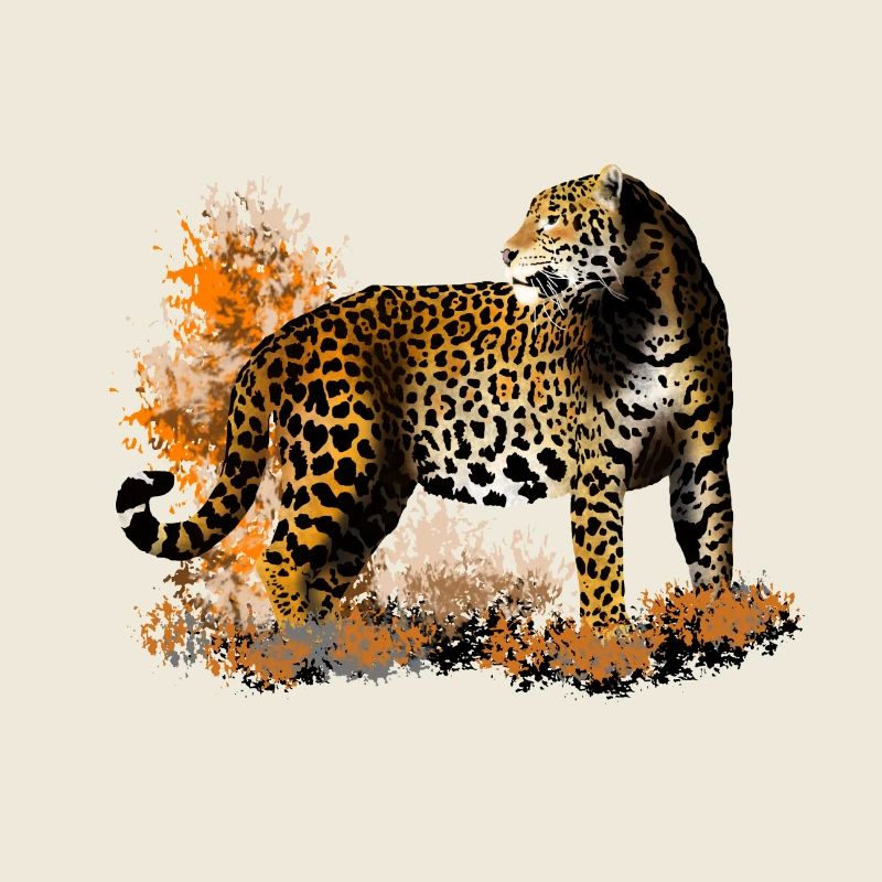 leopard