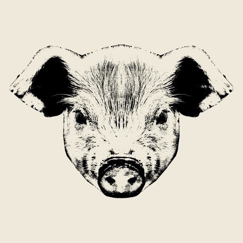 Piglet / Pig / Portrait