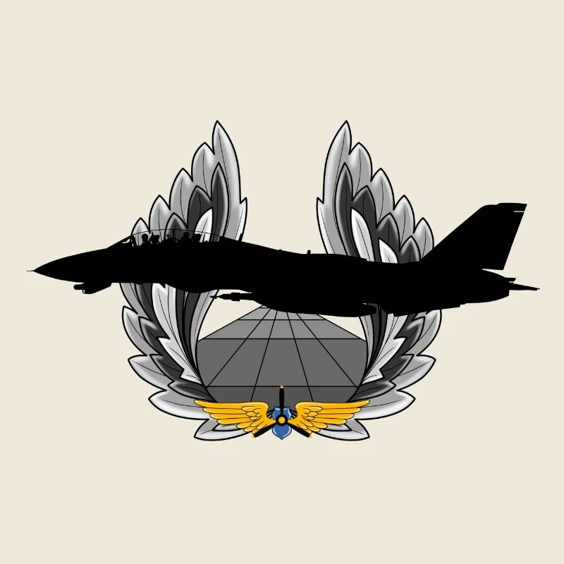 F-14 Tomcat
