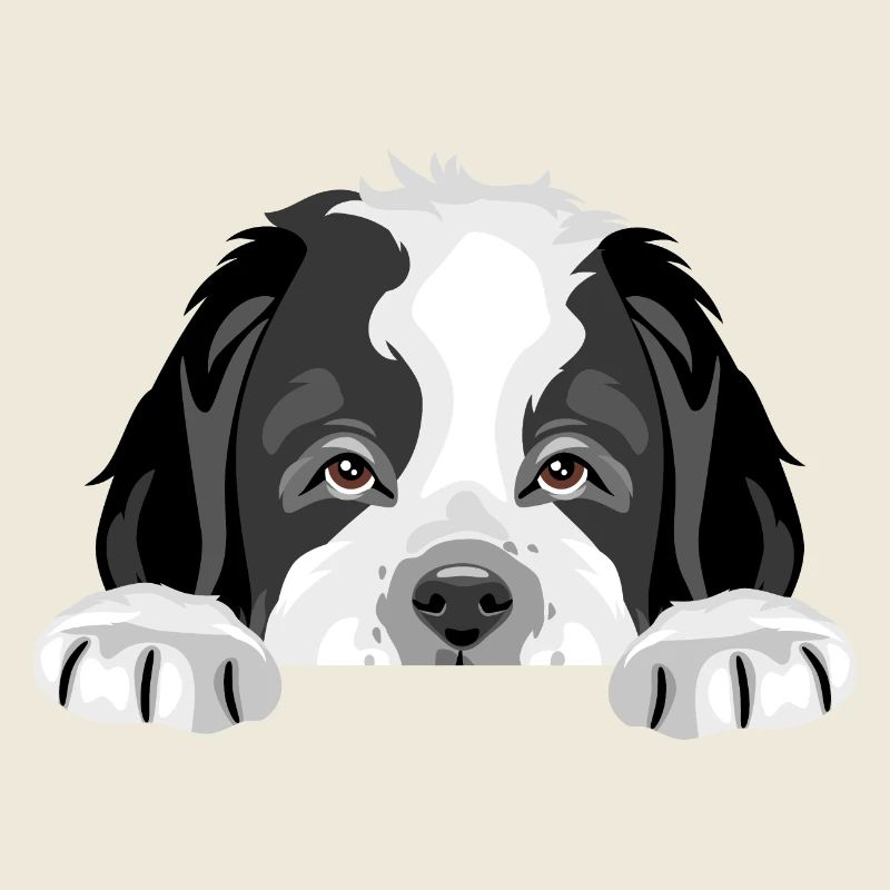 Peeping Saint Bernard chiot chien