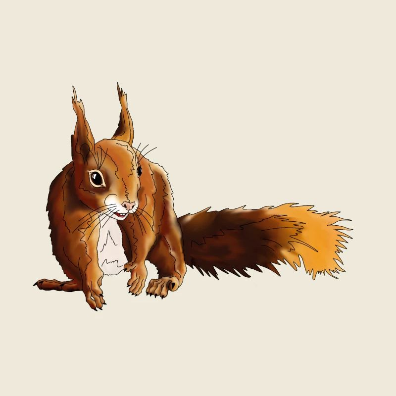 Eichhörnchen 5