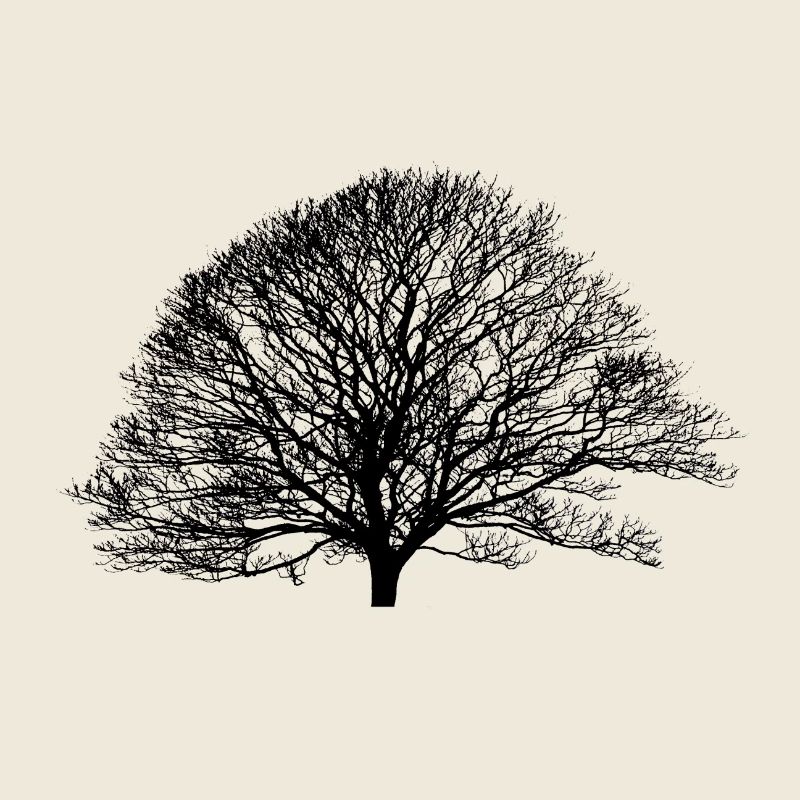 Shadow_no logo
