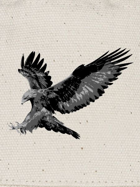 Aigle