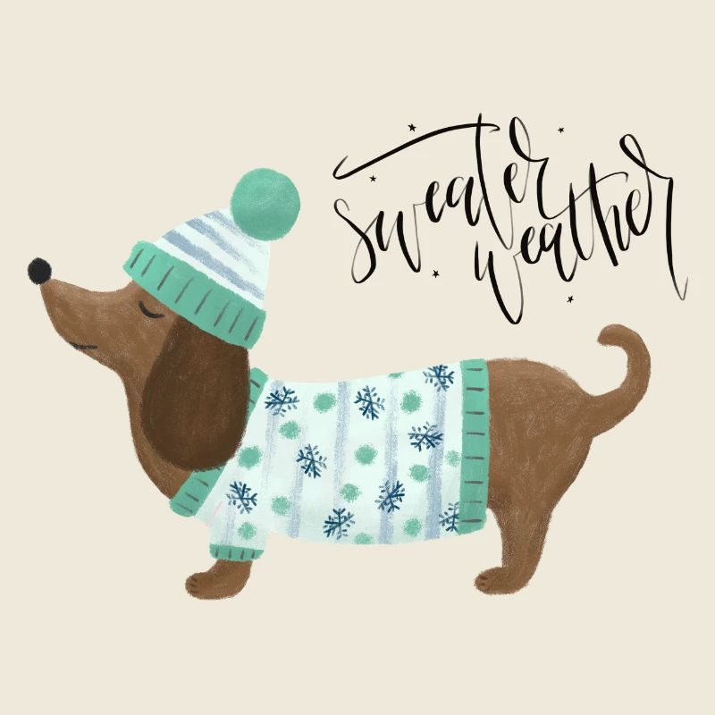 Dackel mit Pullover und Mütze - Sweater Weather