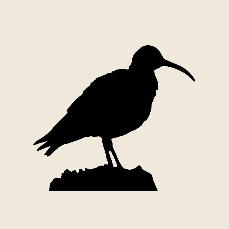 Curlew