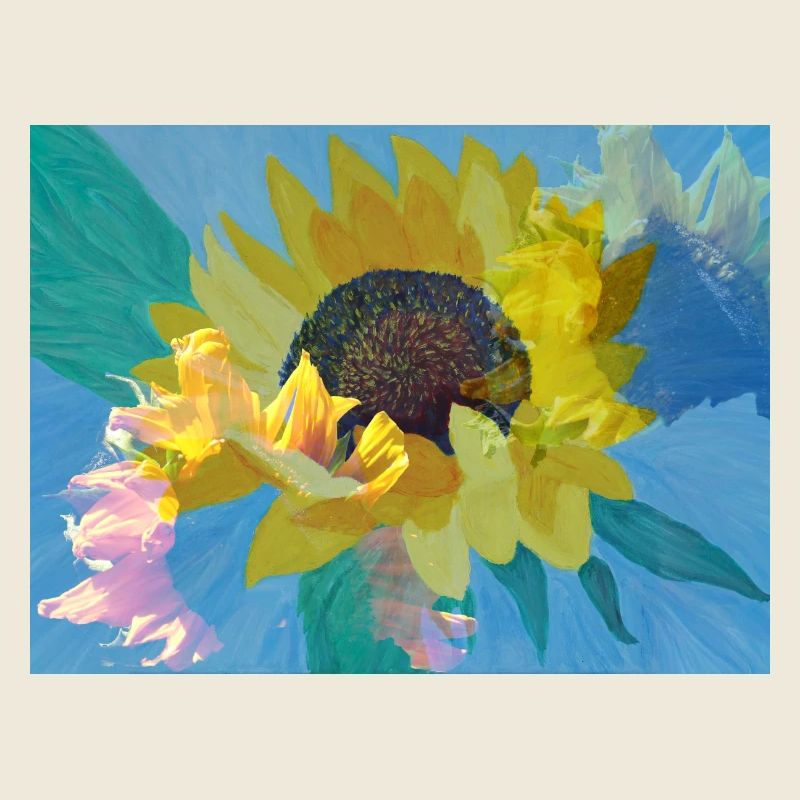 Sonnenblumen-Multibelichtung
