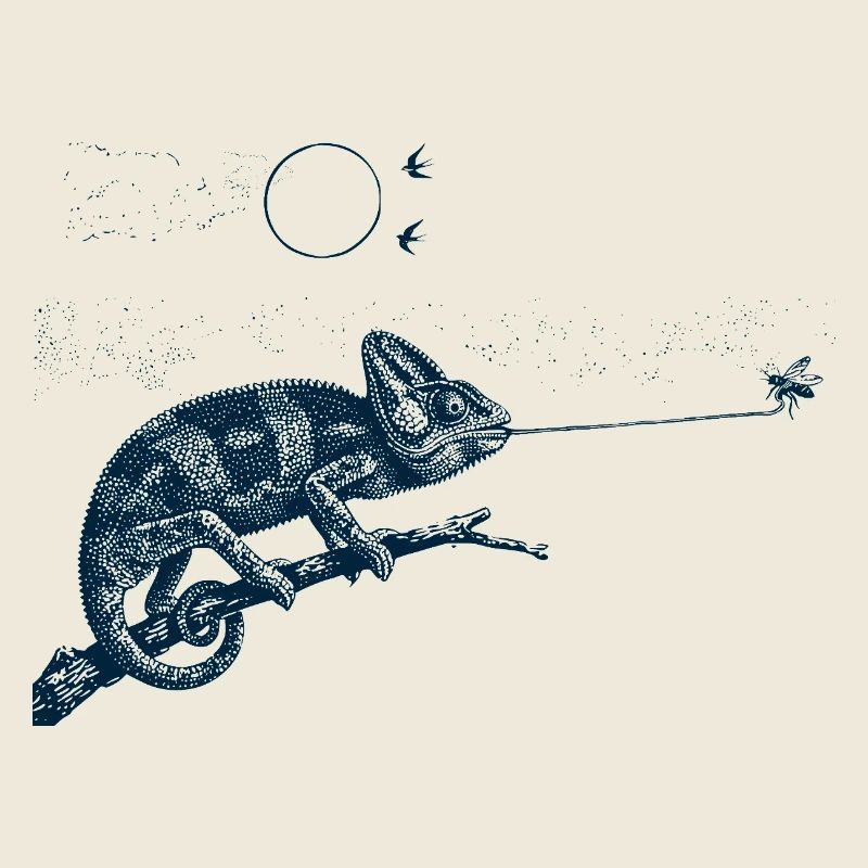 Caméléon gobemouche