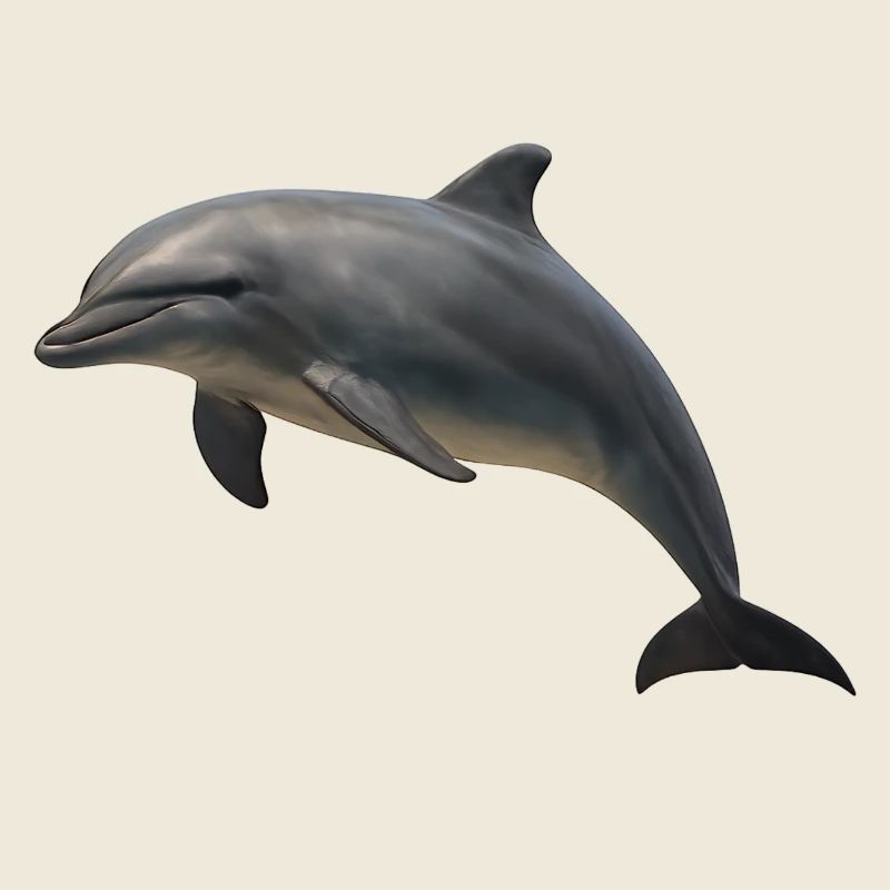 Dolphin in soft shades