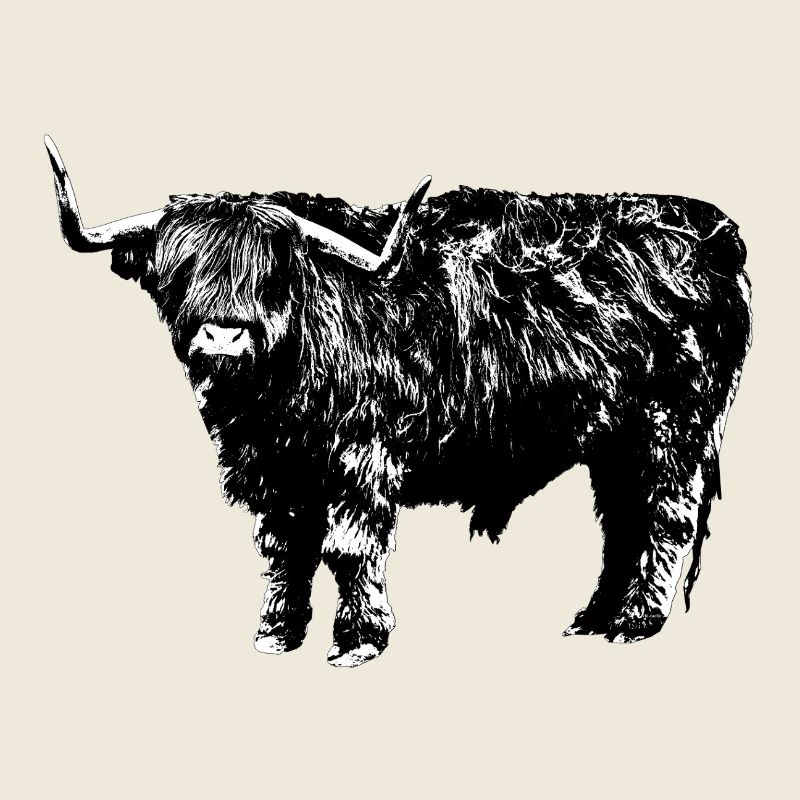 Bovins Highland