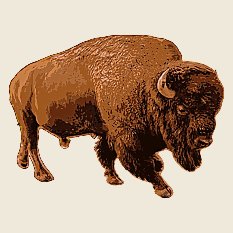 bison