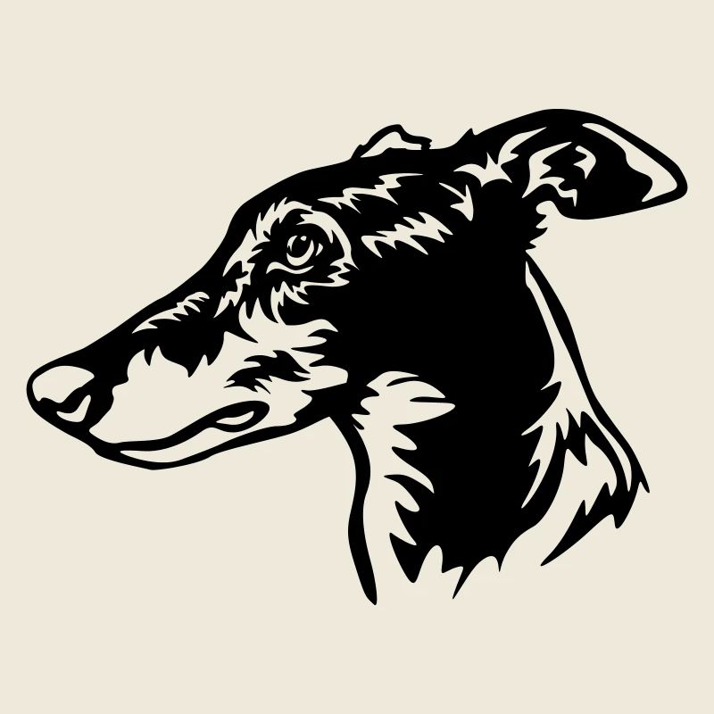 Greyhound Kopf