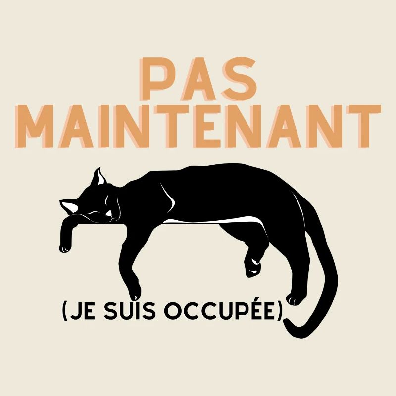 Pas Maintenant- Chat Endormi