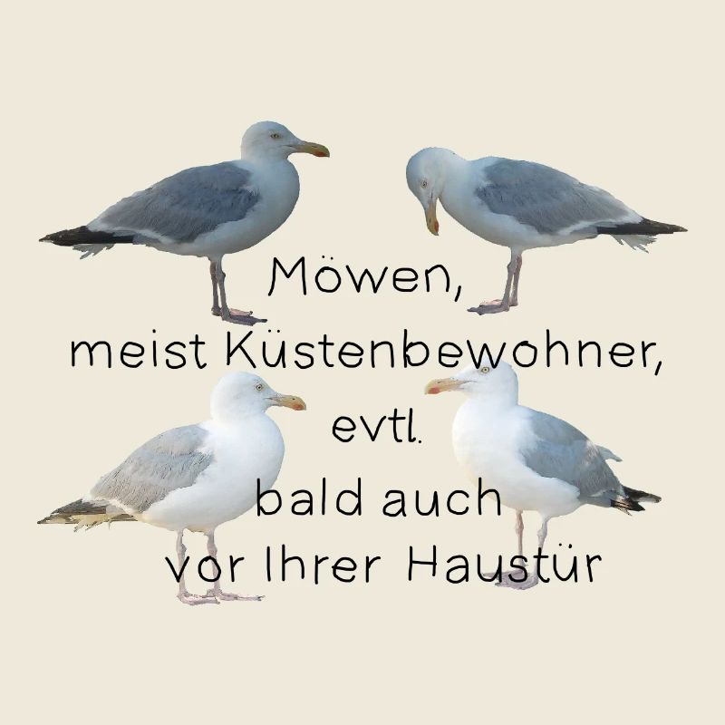 Möwen mit Spruch