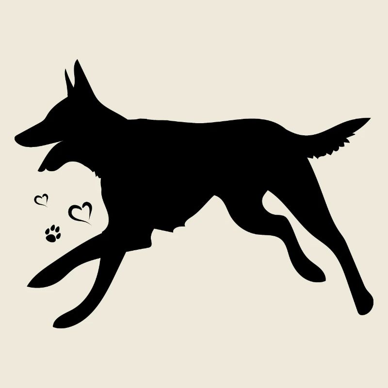 Chien de berger belge malinois
