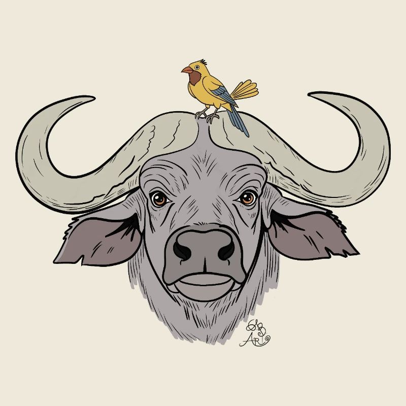 Stämmiger Büffel mit Singvogel
