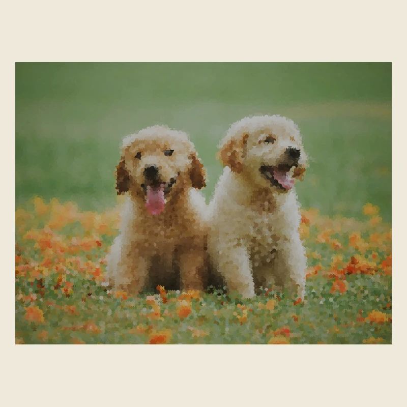 2 chiots Labrador Retriever dans le champ de fleurs