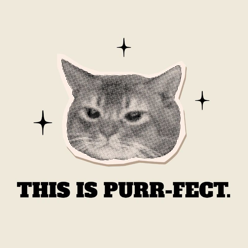 Le Chat Ronron-parfait