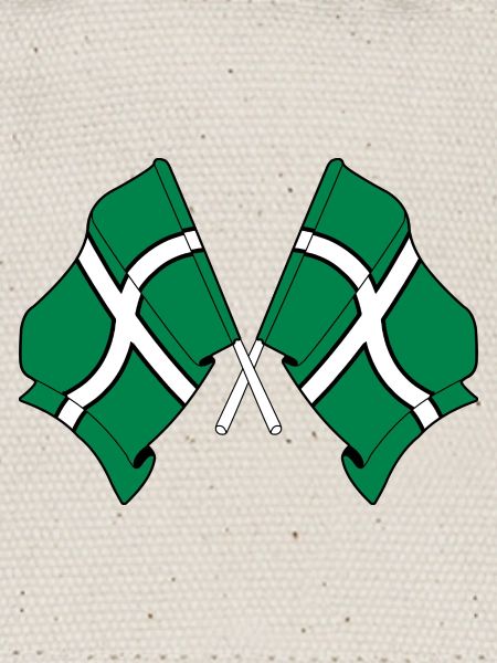 Drapeaux croisés du Devon