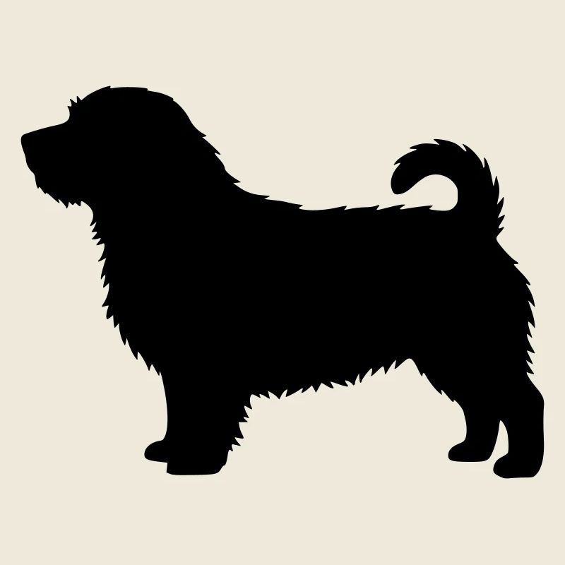 Silhouette du Norfolk Terrier