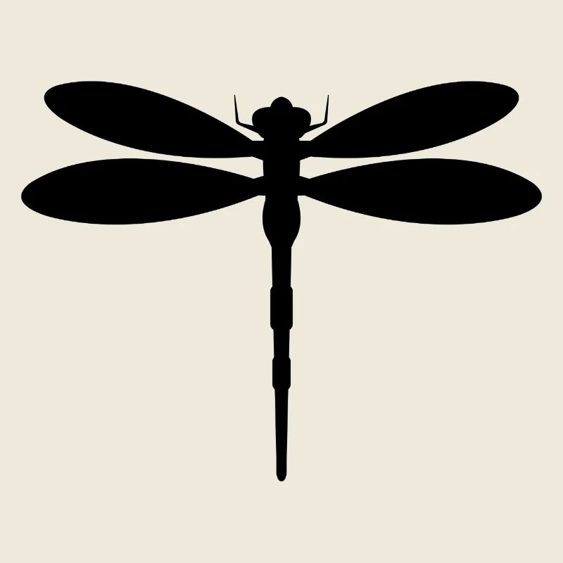 Libellule