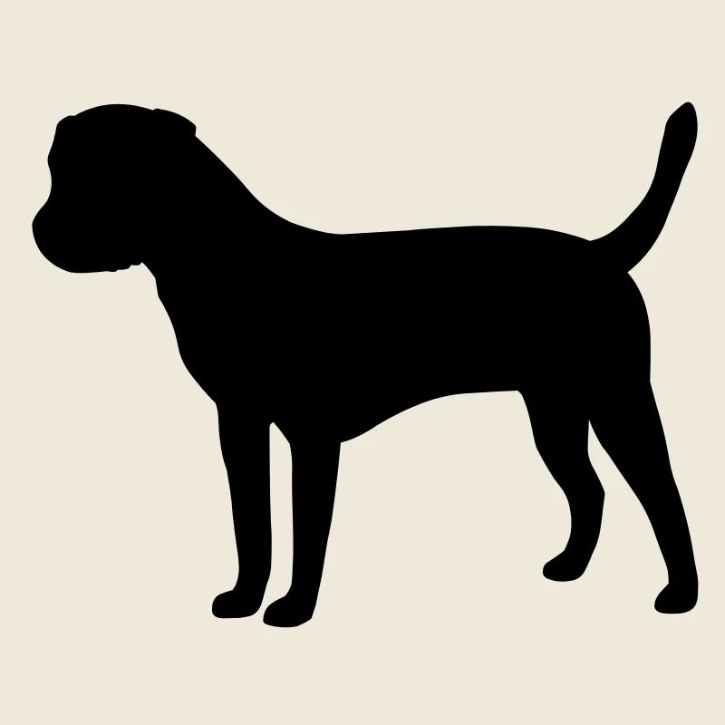 Border Terrier