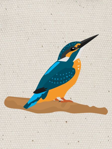 Kingfisher