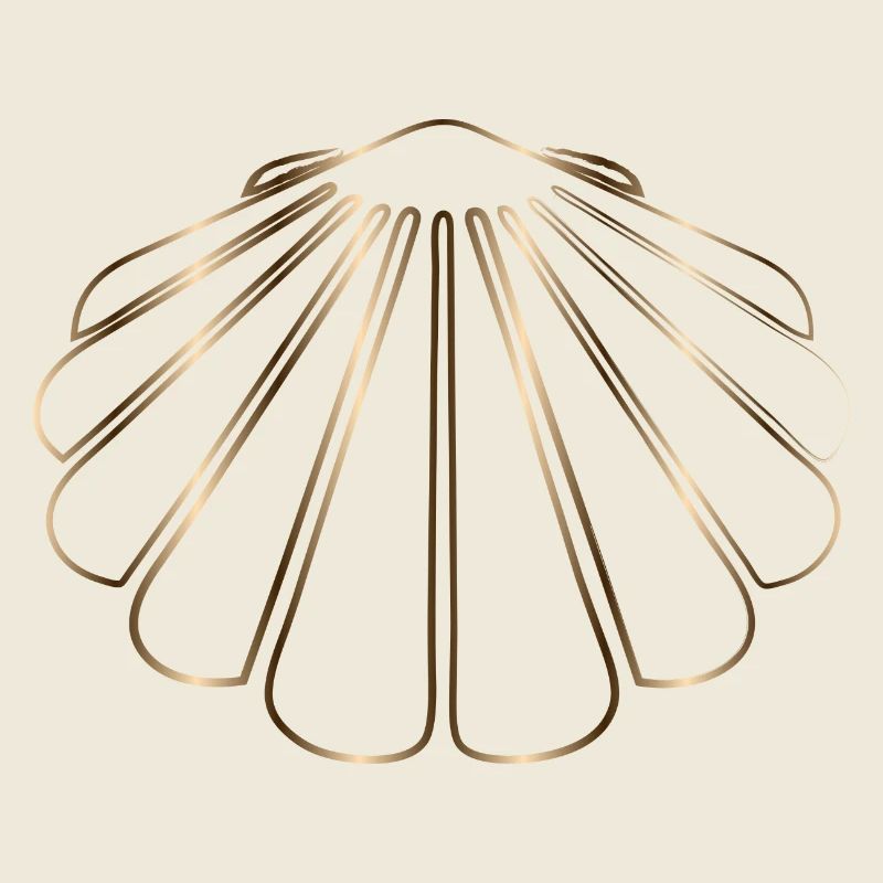 dessin chatoyant d’une coquille Saint-Jacques