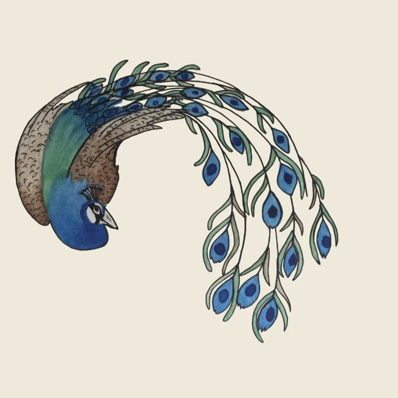 Pfau