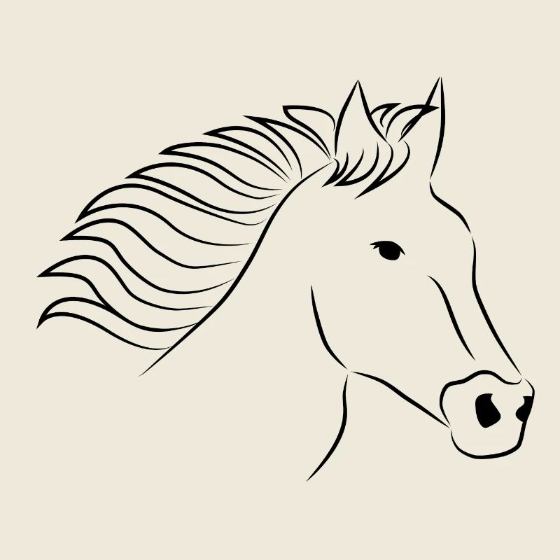 Pferd Pferdekopf schwarz