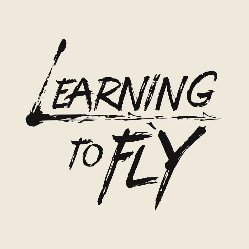 Learning to fly Flying Airplane Pilot Flyer