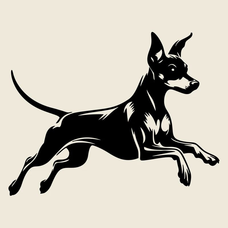 Pinscher nain