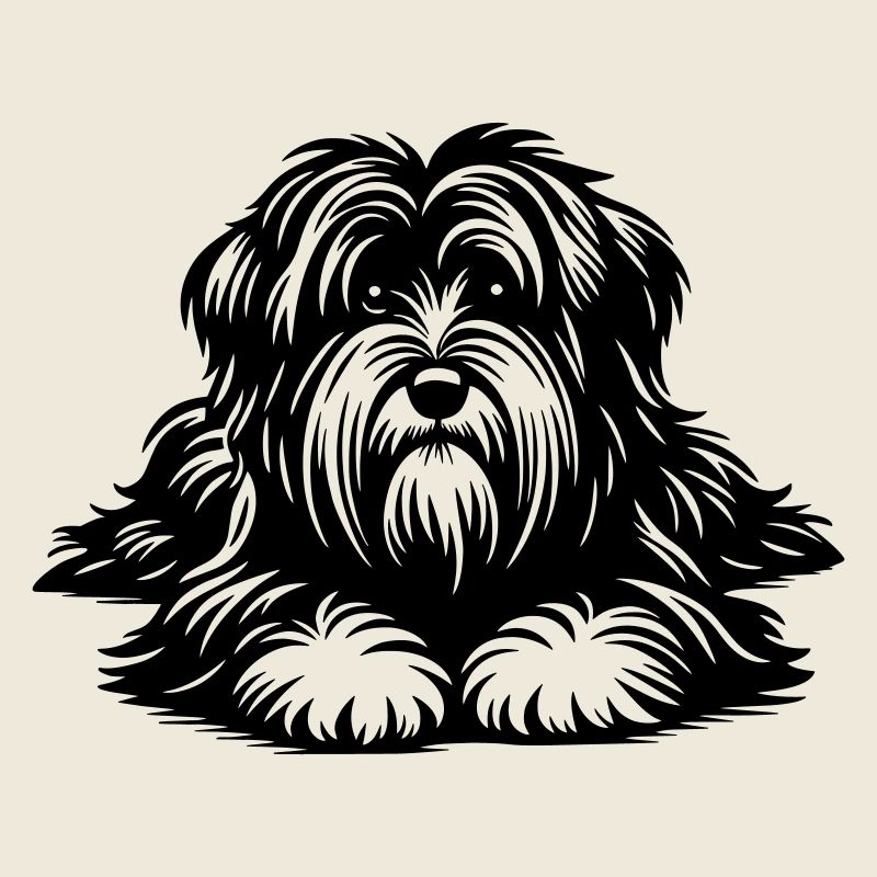 Terrier tibétain