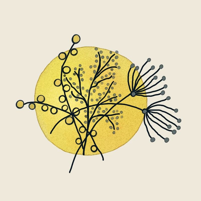 graeser in der Sonne