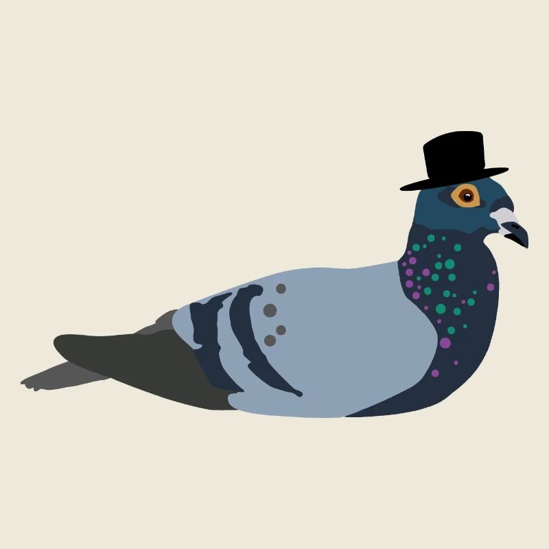 Colombe avec chapeau