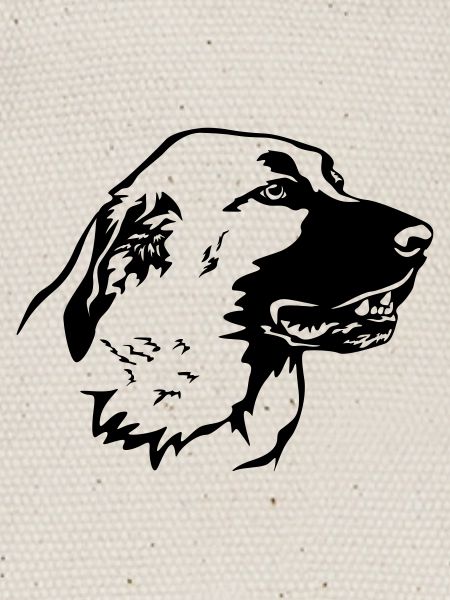 Kangal Head