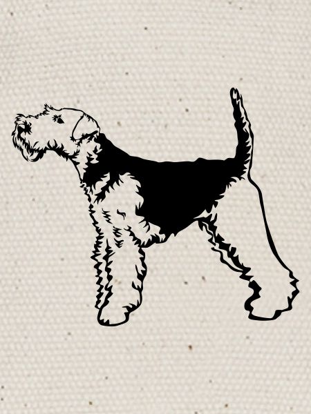 Welsh Terrier