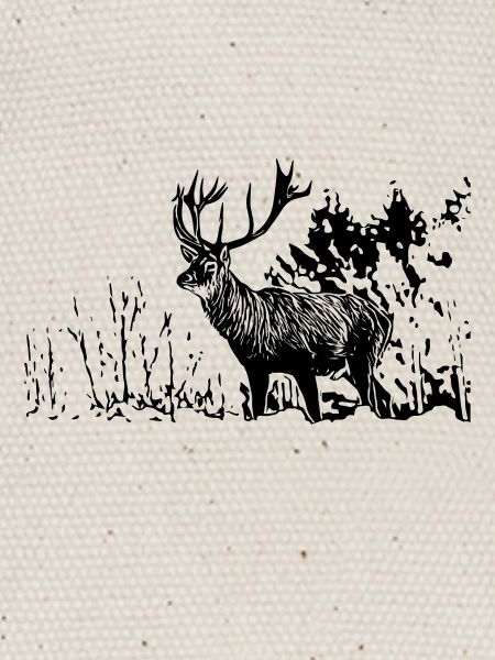Cerf
