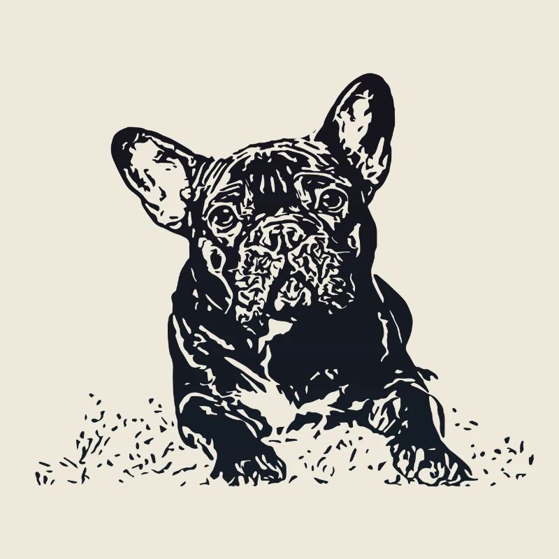 Bouledogue Français