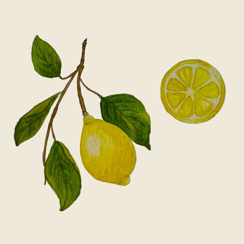 Branche de citron et citron