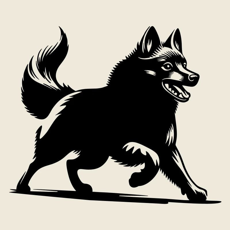 Schipperke