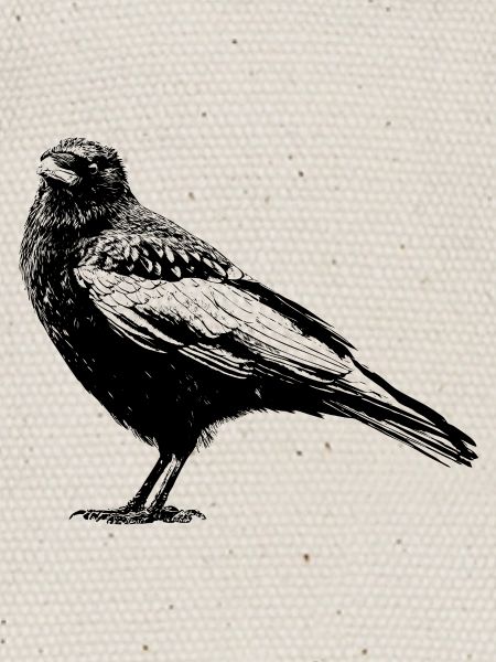 Raven