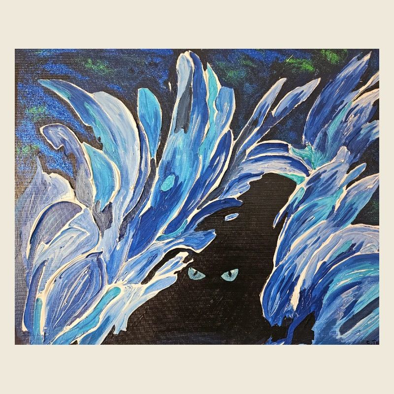 Eis Augen