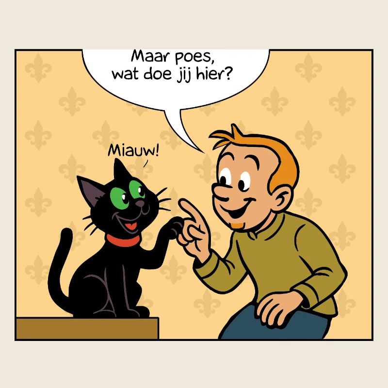 Première rencontre de Franky & Meeko